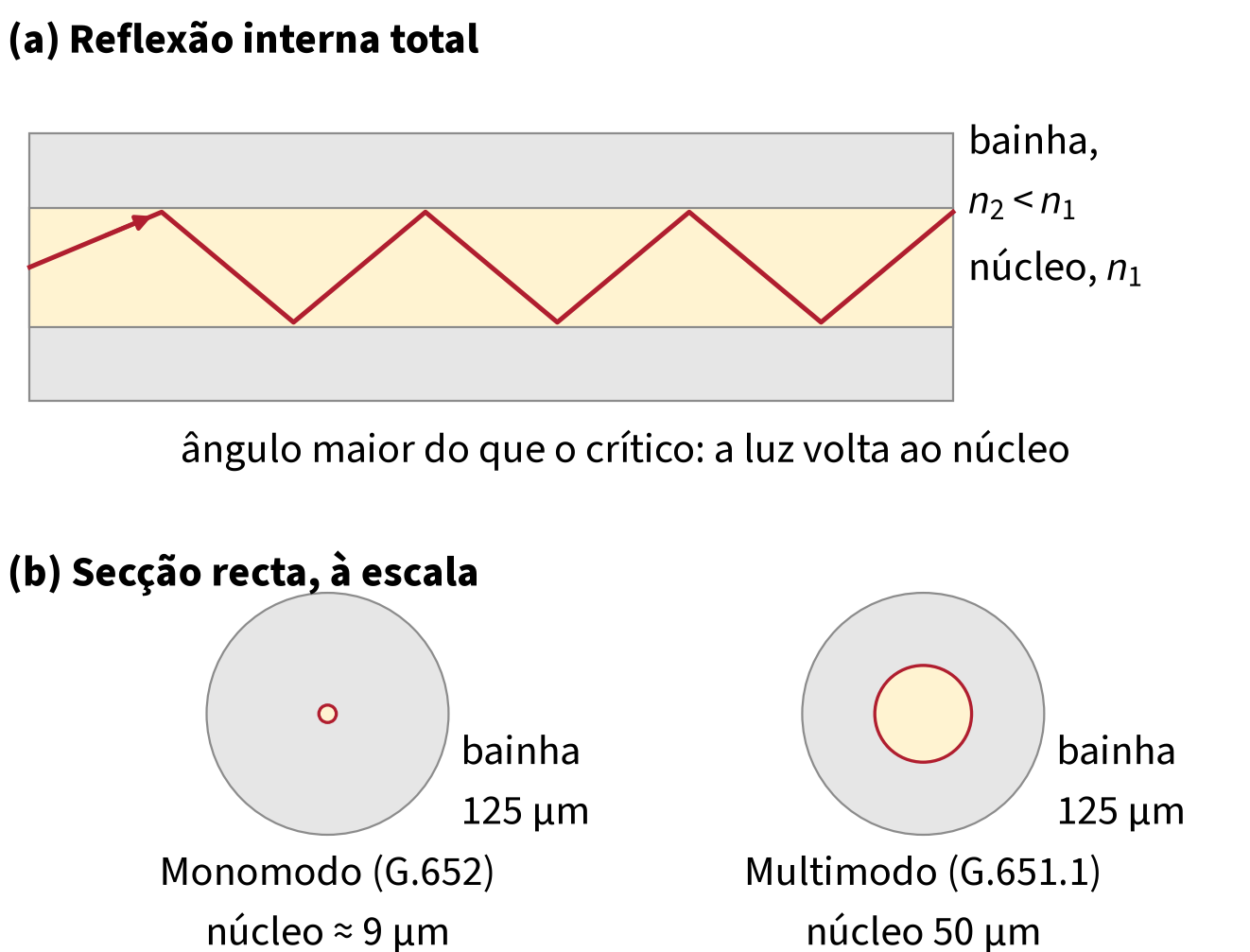 Figura 5 da Revista CIRCUITO+